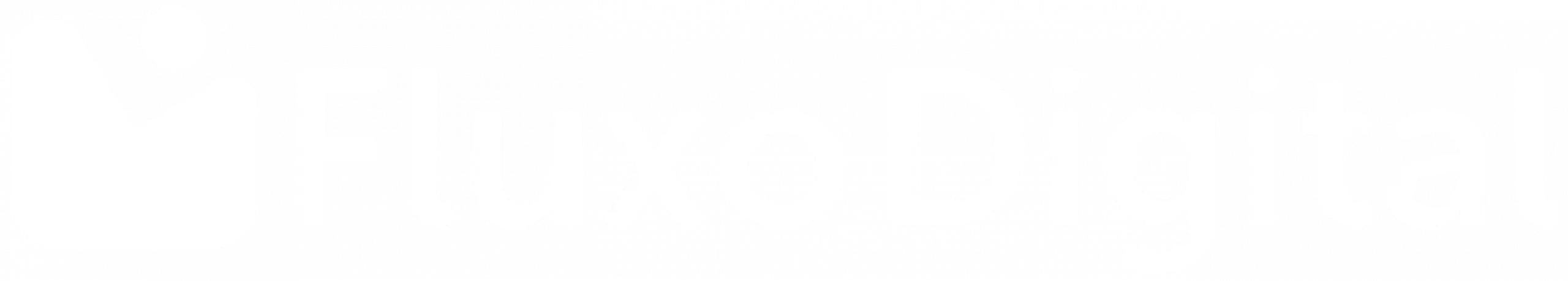 Logo Fluxo Digital